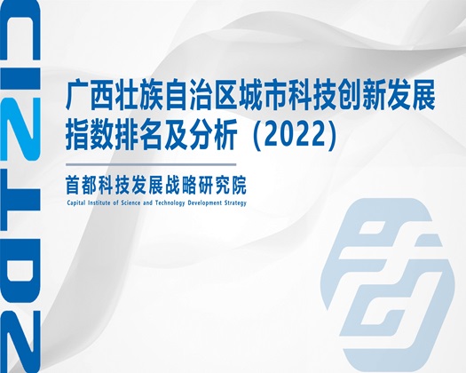 女人靠逼免费网站【成果发布】广西壮族自治区城市科技创新发展指数排名及分析（2022）